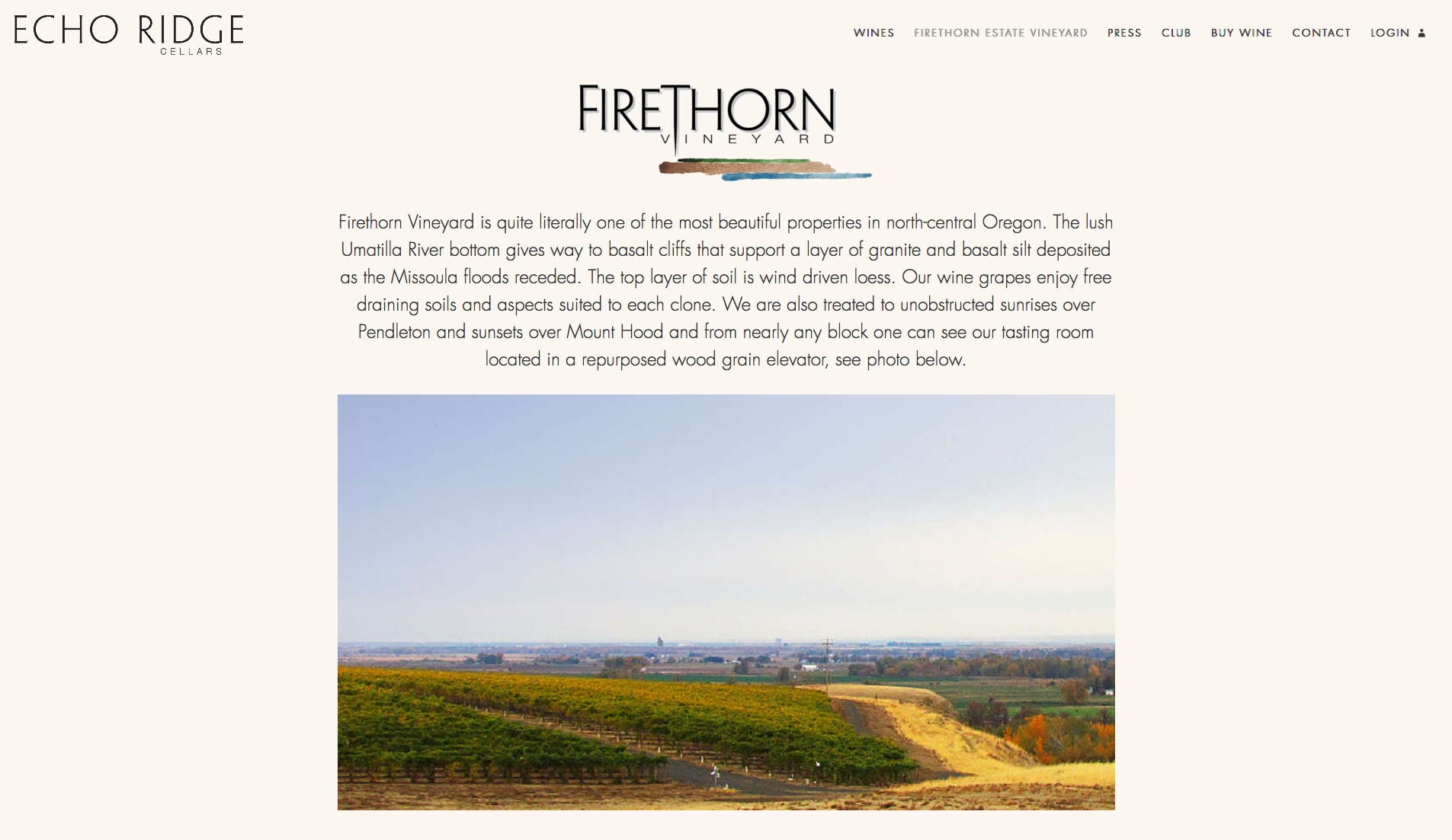 Echo Ridge Cellars - Vineyard