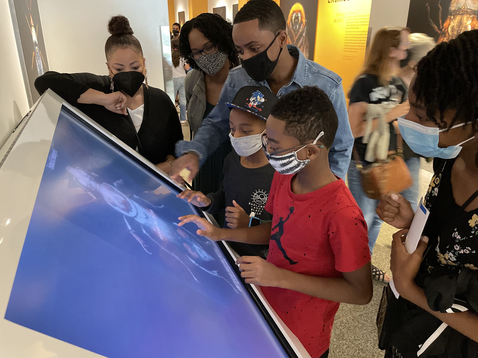E&E Kiosk - AMNH Exhibition