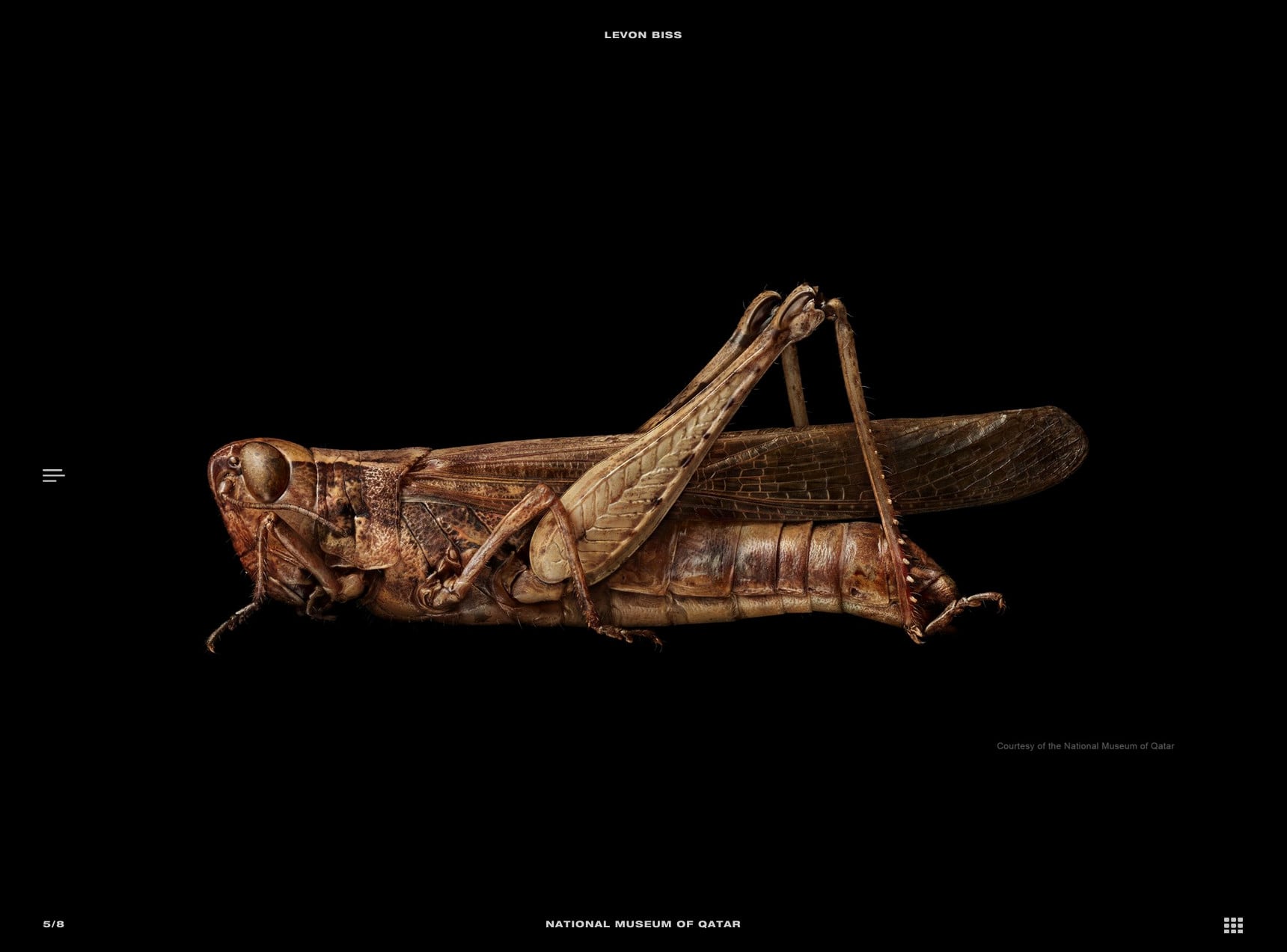 National Museum of Qatar - Levon Biss