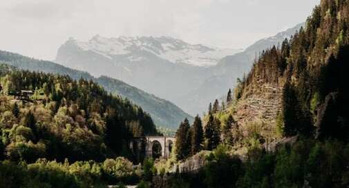 ODD. Mountain
